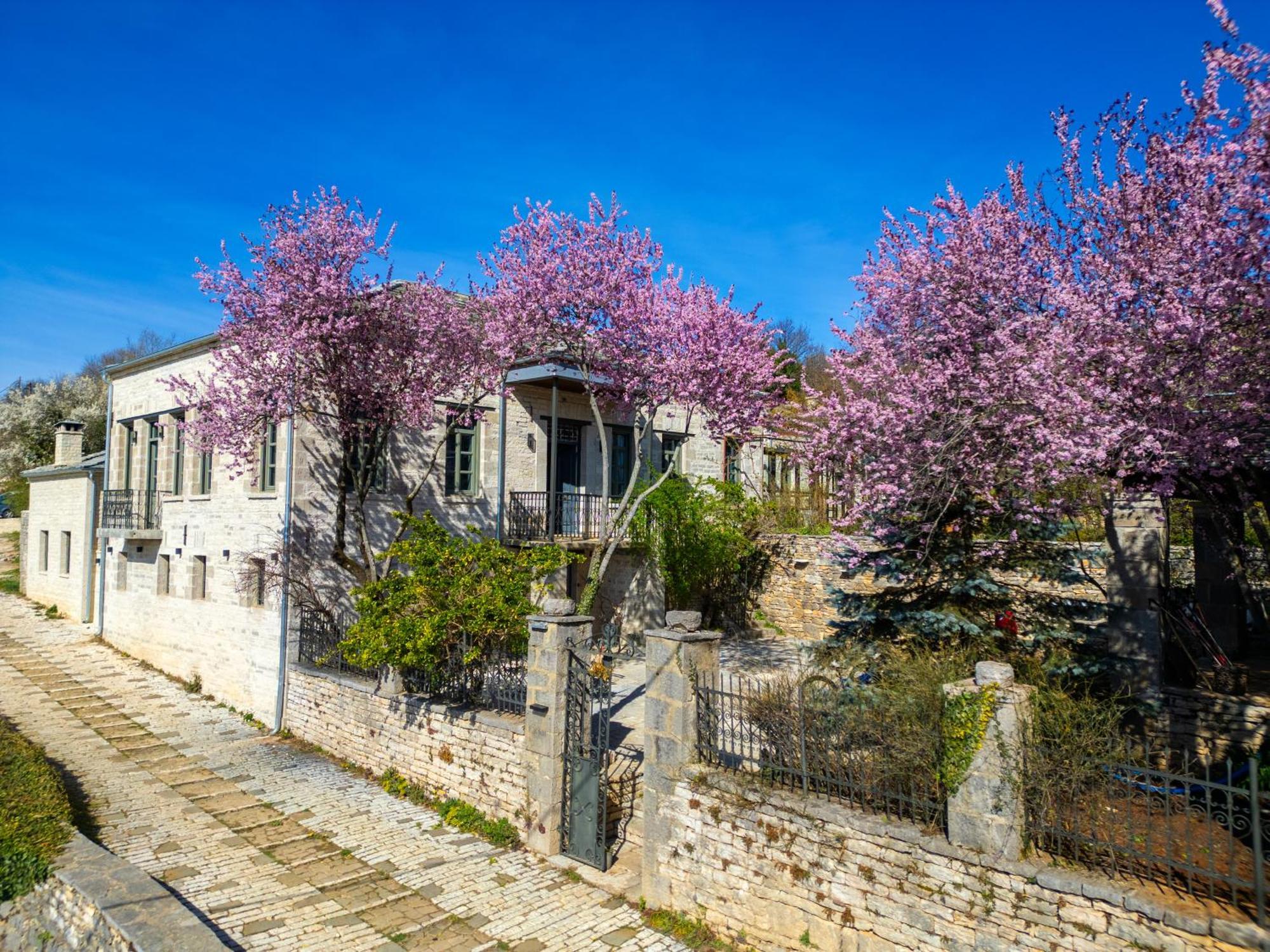 Katikia Zagori 호텔 비챠 외부 사진